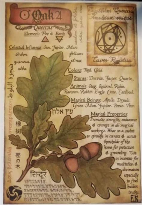 The Witch's Green Thumb: A Botanical Spell Book for Gardening Magic